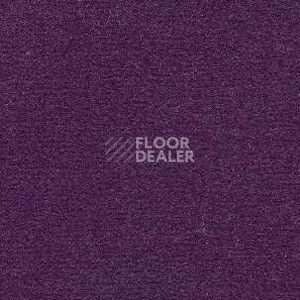 Ковролин Radici Nexus Parma 8248 фото 1 | FLOORDEALER